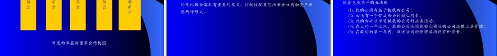 如何进行有效的公司治理（PPT58）(1)
