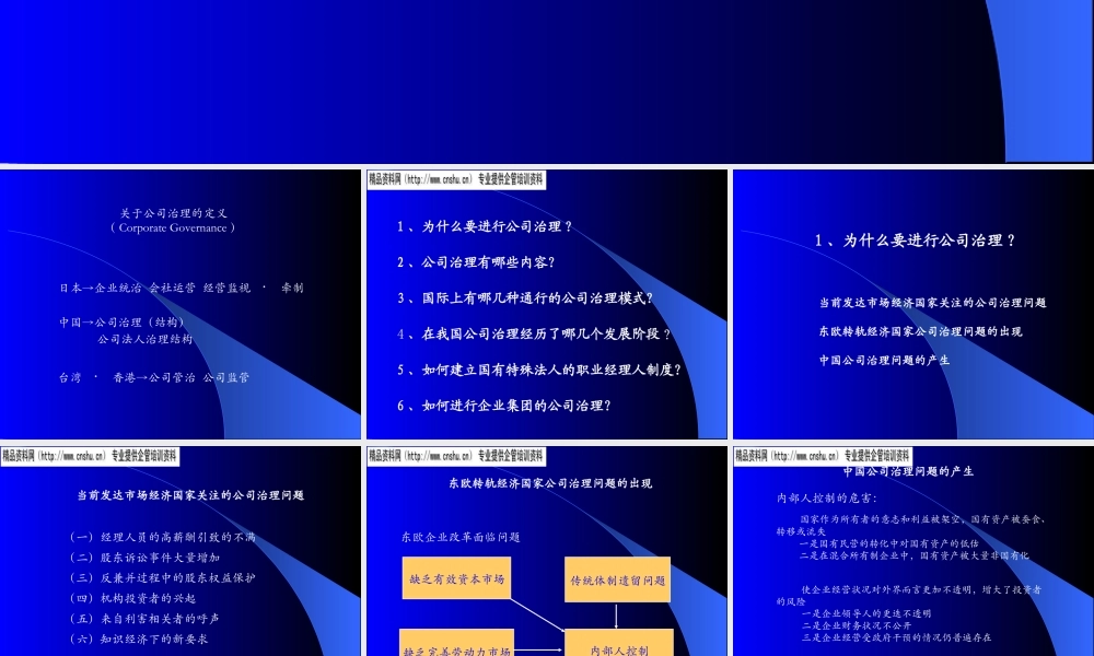 如何进行有效的公司治理（PPT58页）