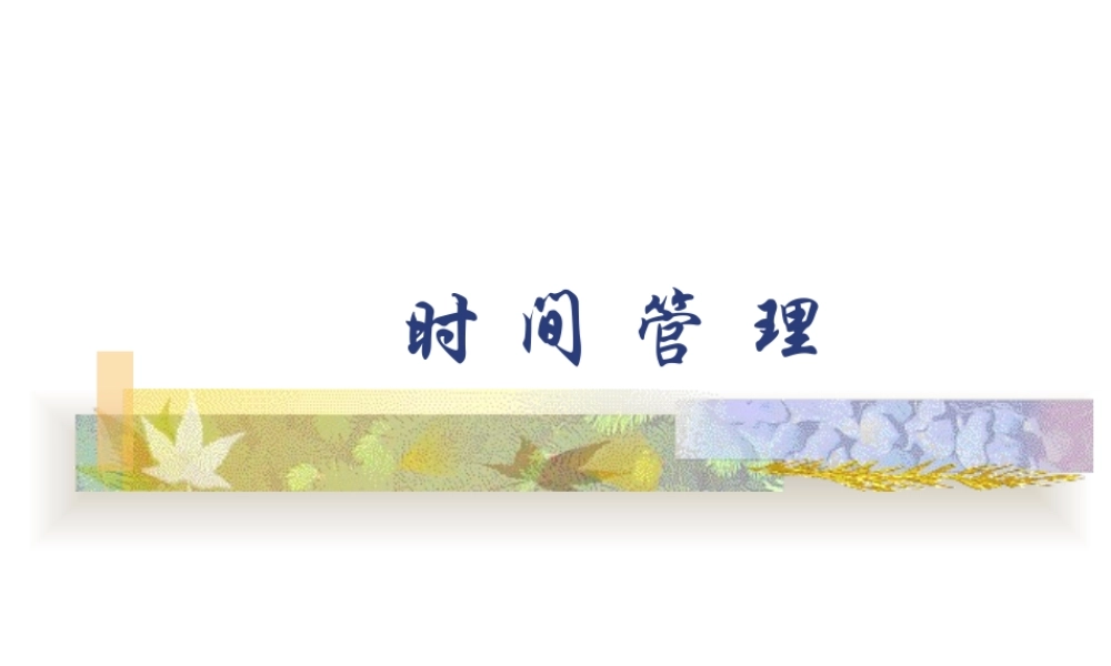 如何进行有效的时间管理(ppt 19页)