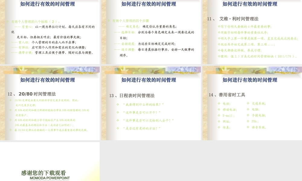 如何进行有效的时间管理(ppt 19页)