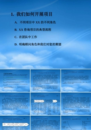如何开展项目(ppt72)(1)