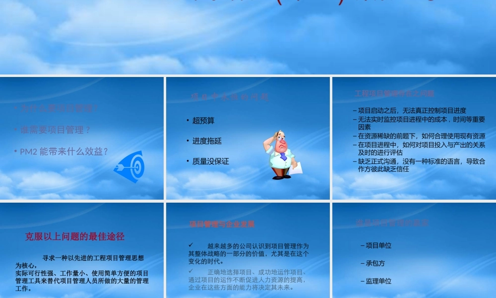 如何克服项目管理咨询软件系统的问题