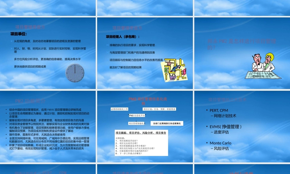 如何克服项目管理咨询软件系统的问题