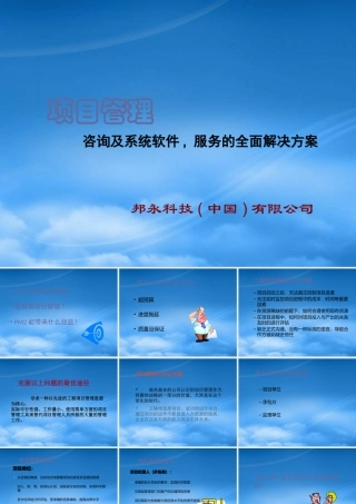 如何克服项目管理咨询软件系统的问题