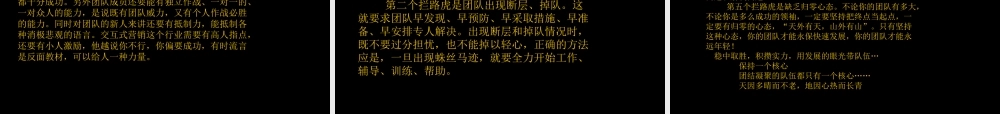 如何快速发展团队