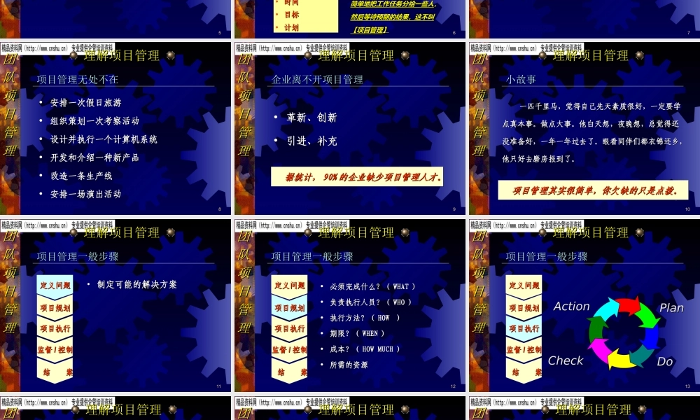 如何理解与执行项目管理