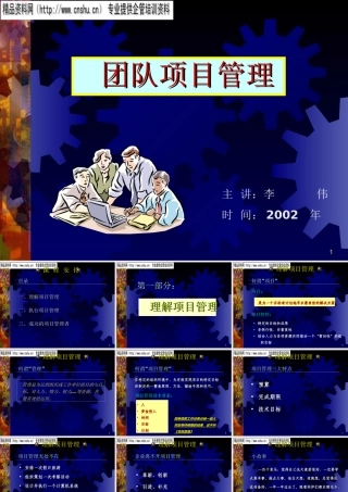 如何理解与执行项目管理