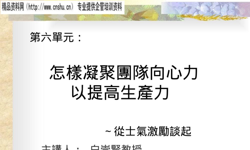 如何凝聚团队向心力来提高生产力讲义
