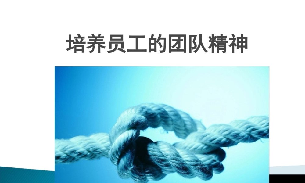 如何培养团队精神