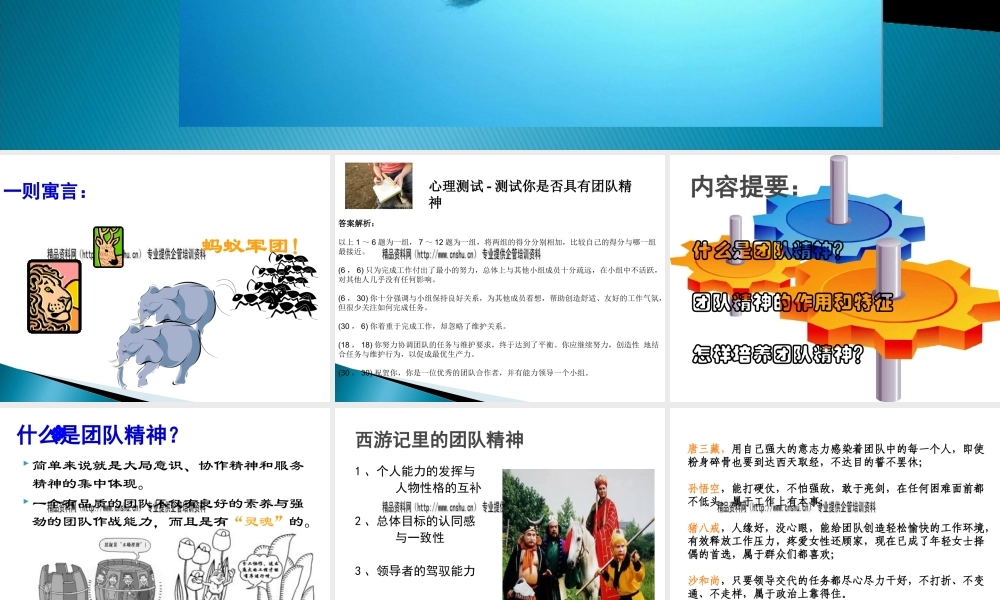 如何培养团队精神