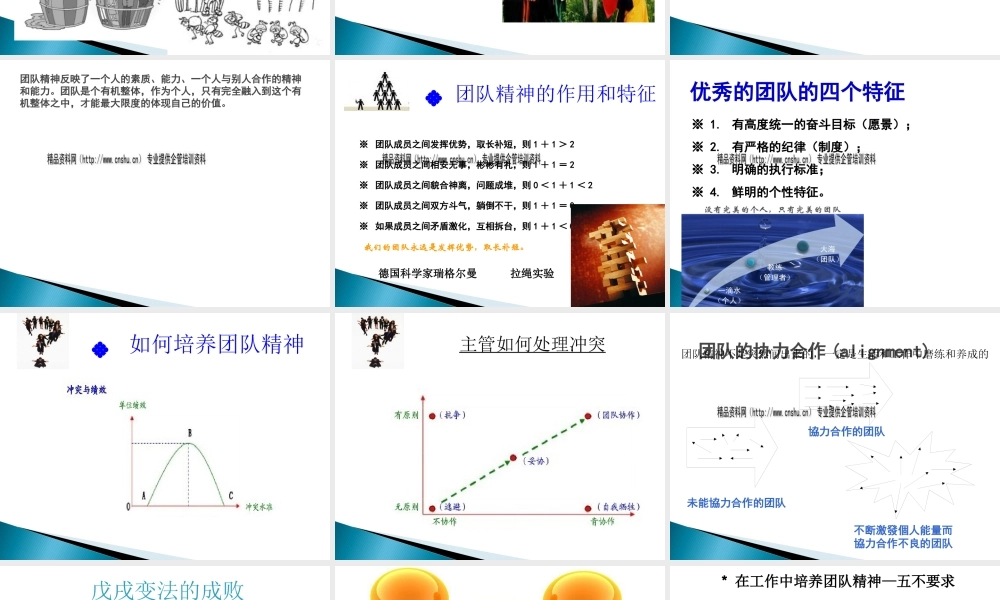如何培养团队精神