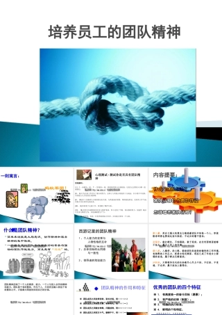 如何培养团队精神