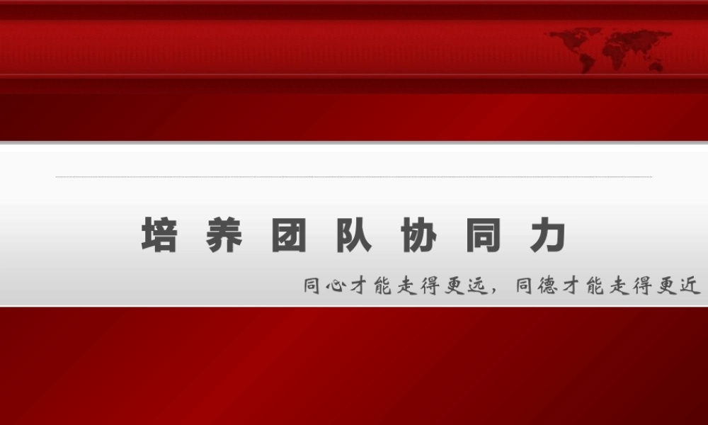 如何培养团队协同力