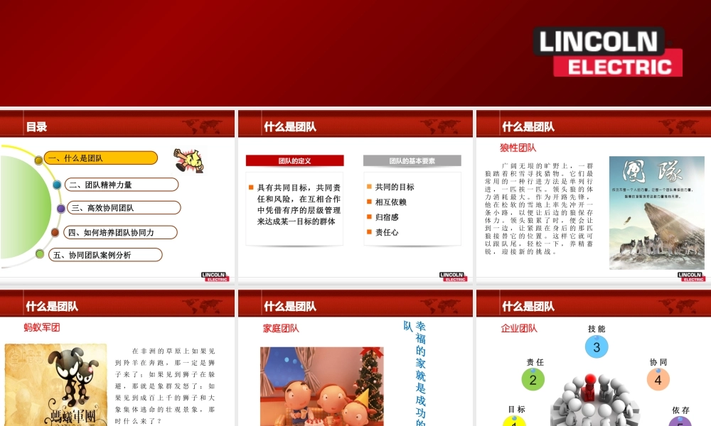如何培养团队协同力
