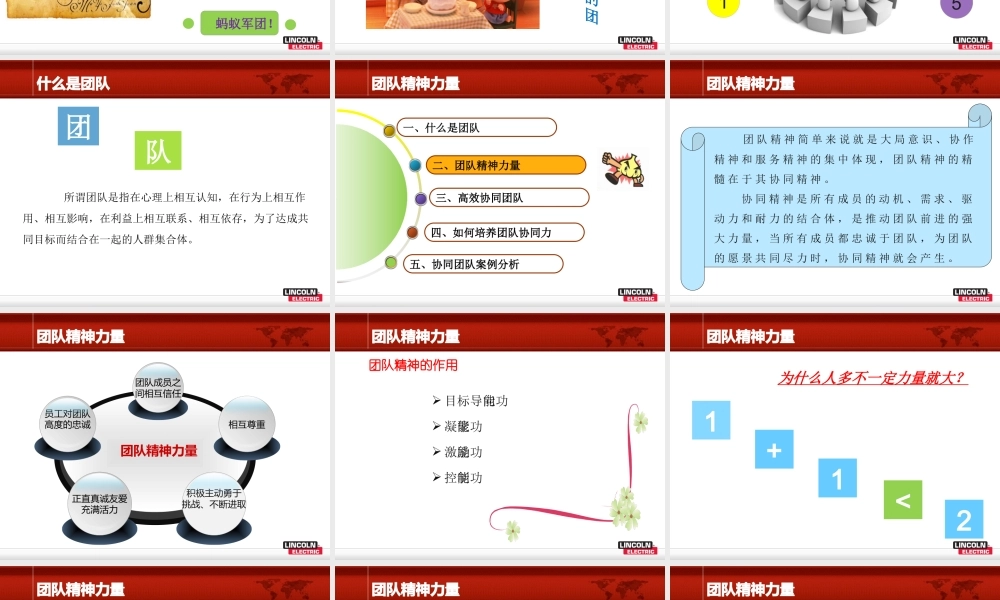 如何培养团队协同力