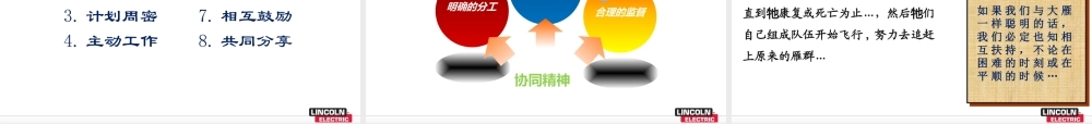 如何培养团队协同力