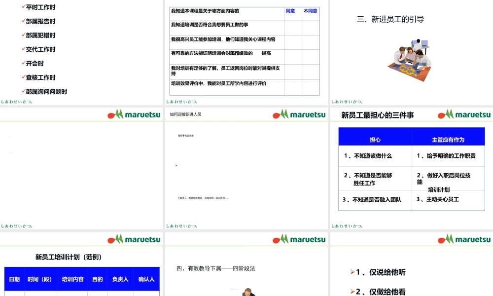 如何培养下属(PPT37页)