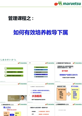 如何培养下属(PPT37页)