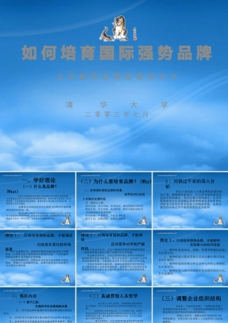 如何培育国际强势品牌
