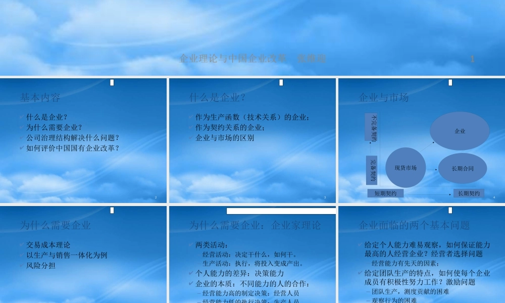 如何评价中国国有企业改革与企业理论