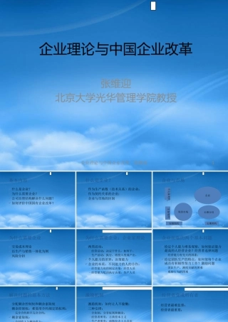 如何评价中国国有企业改革与企业理论