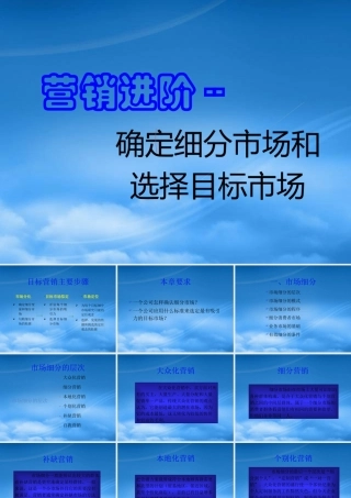如何确定细分市场和选择目标市场