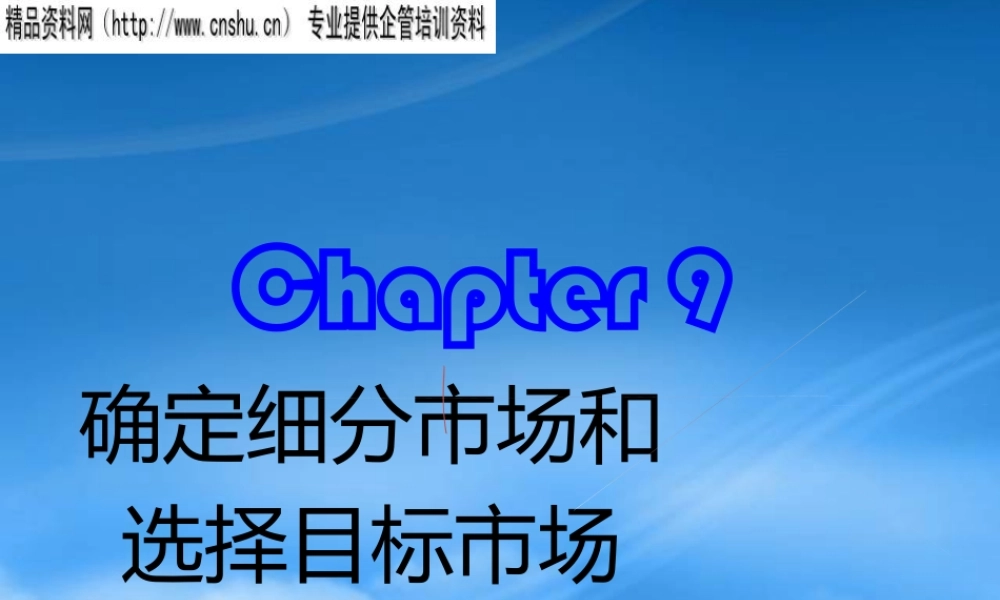 如何确定细分市场与选择目标市场