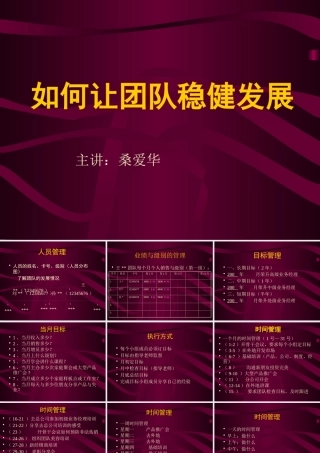 如何让团队稳健发展(PPT 页)