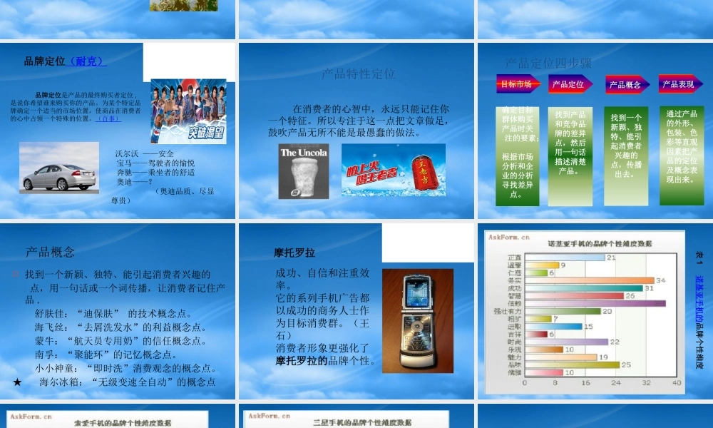 如何实施品牌差异化战略XXXX