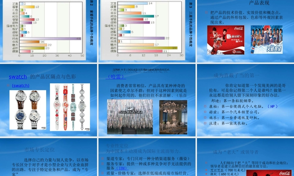 如何实施品牌差异化战略XXXX
