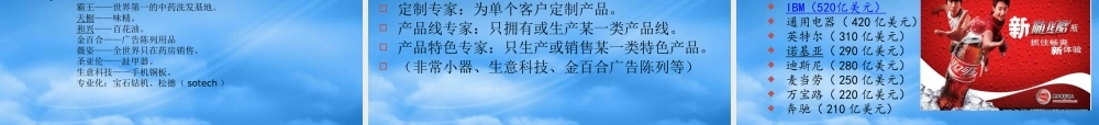 如何实施品牌差异化战略XXXX