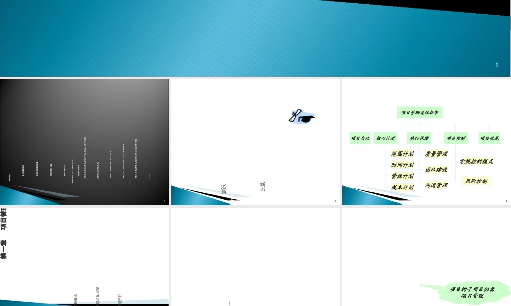 如何实施项目管理