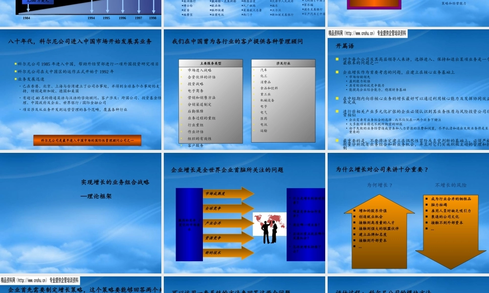 如何实现企业增长的业务组合战略