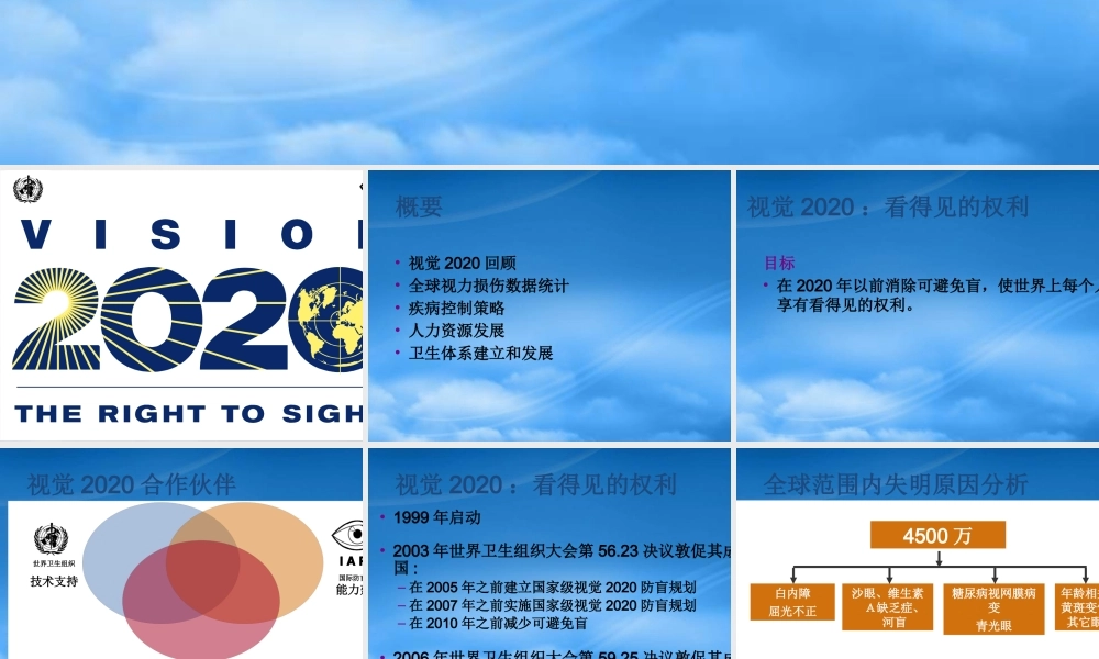 如何实现视觉2020的目标