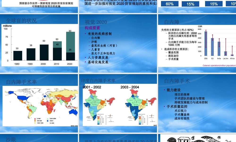 如何实现视觉2020的目标