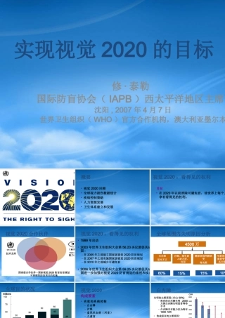 如何实现视觉2020的目标