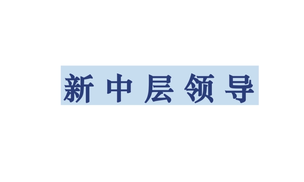 如何实现中层向高层晋升的跨越