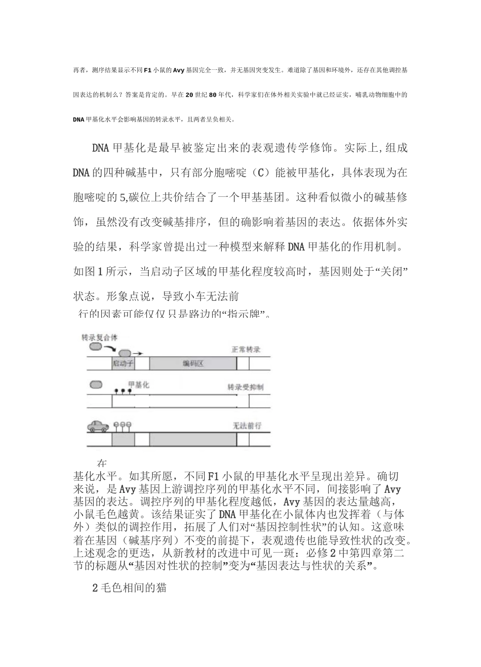 高中生物学中的表观遗传学_第3页