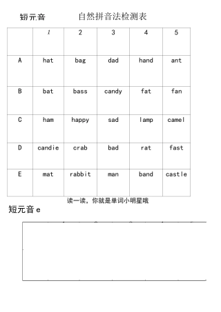 自然拼读法-短音a,e,i,o,u检测表