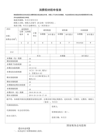 消费税纳税申报表