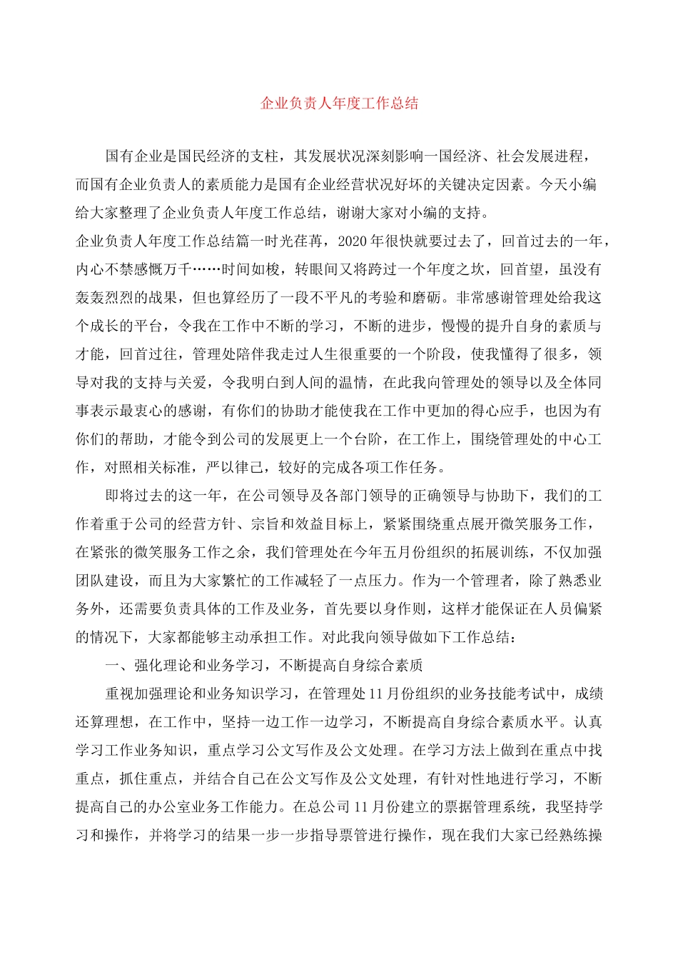 企业负责人年度工作总结_第1页