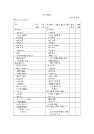 新会计准则会计报表及附注