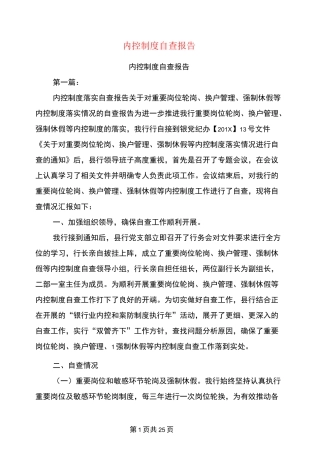 内控制度自查报告(完整版)