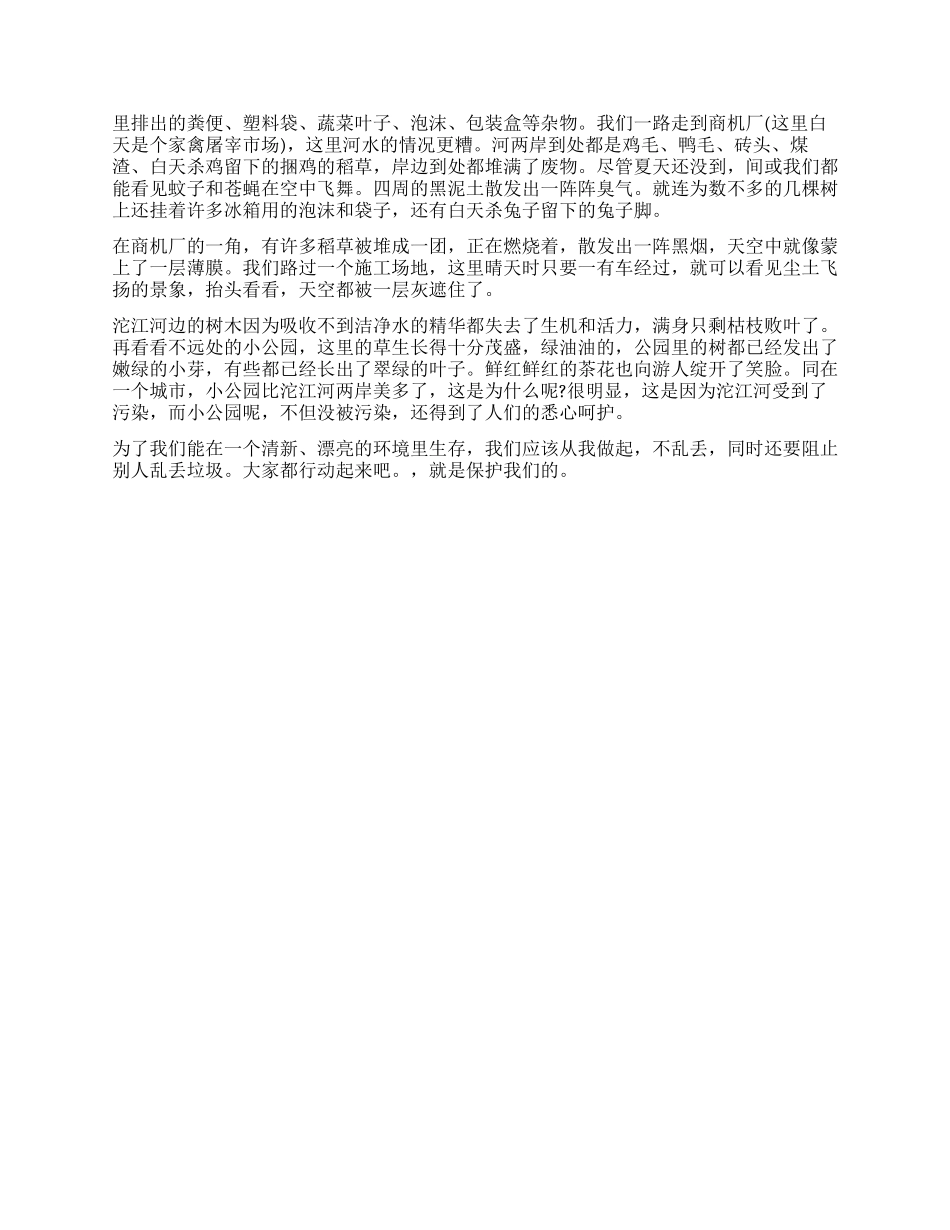 小学生关于环境的调查报告_第2页