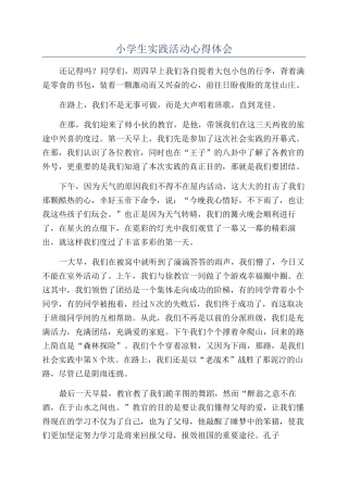 小学生实践活动心得体会
