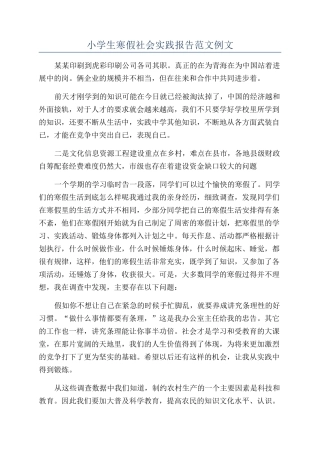 小学生寒假社会实践报告范文例文