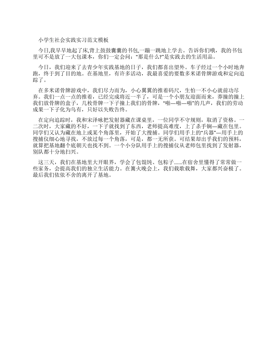 小学生社会实践实习报告例文模板_第1页