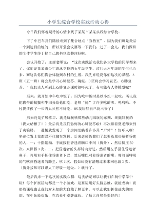 小学生综合学校实践活动心得