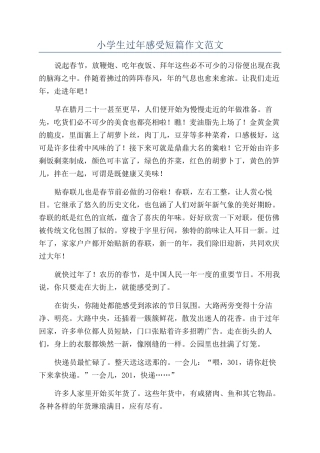 小学生过年感受短篇作文范文