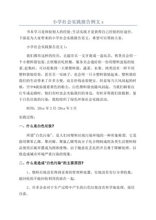 小学社会实践报告例文x